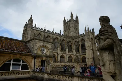 DSC_2624 (Large).JPG